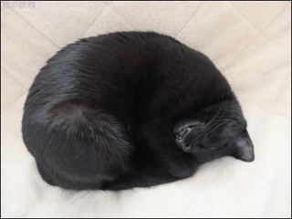 s-DSCF8633.jpg