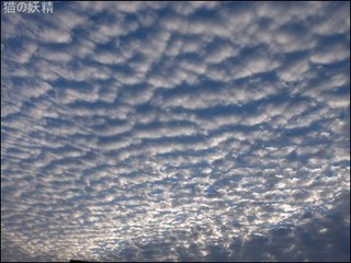 s-DSCF8640.jpg