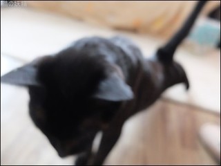 s-DSCF8677.jpg