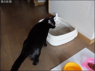 s-DSCF8682.jpg