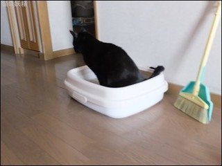 s-DSCF8688.jpg