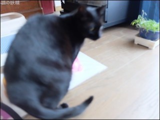 s-DSCF8707.jpg