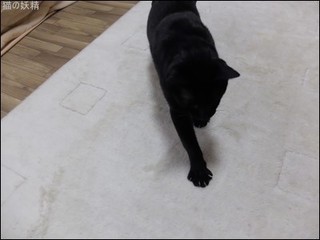s-DSCF8715.jpg