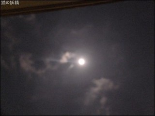 s-DSCF8719.jpg