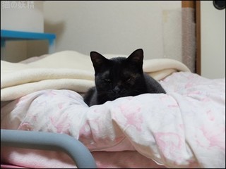 s-DSCF8739.jpg