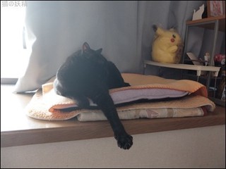 s-DSCF8757.jpg