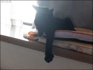 s-DSCF8760.jpg