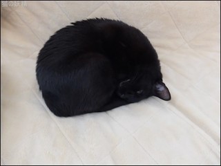 s-DSCF8804.jpg
