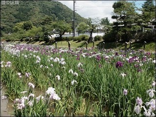 s-DSCF8805.jpg