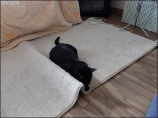 s-DSCF8807.jpg