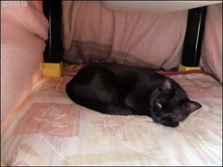 s-DSCF8810.jpg