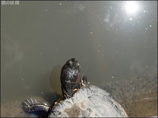 s-DSCF8814.jpg