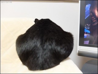 s-DSCF8824.jpg
