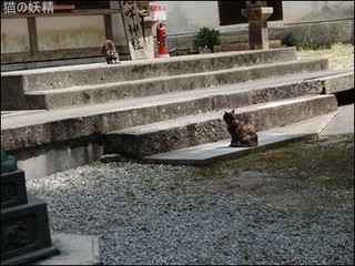 s-DSCF8862.jpg