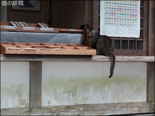 s-DSCF8863.jpg