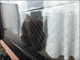 s-DSCF8869.jpg