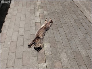 s-DSCF8875.jpg