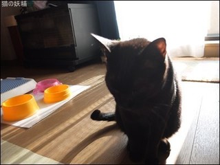 s-DSCF8876.jpg