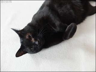 s-DSCF8954.jpg