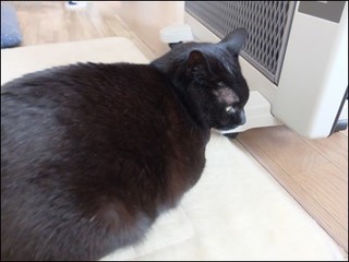 s-DSCF8999.jpg