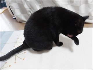 s-DSCF9001.jpg