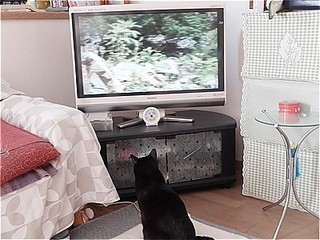 s-DSCF9003.jpg