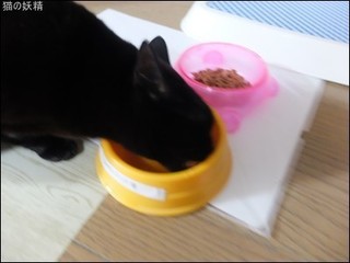s-DSCF9004.jpg