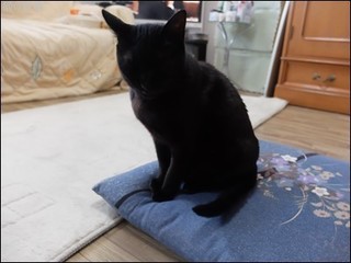 s-DSCF9010.jpg