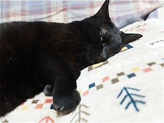 s-DSCF9064.jpg