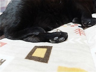 s-DSCF9065.jpg