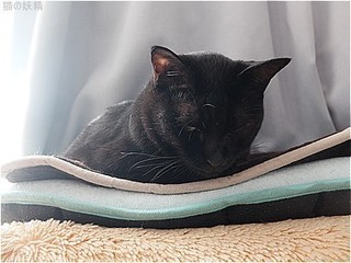 s-DSCF9070.jpg