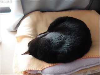 s-DSCF9079.jpg