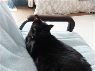 s-DSCF9088.jpg