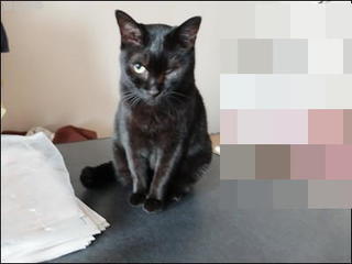 s-DSCF9104.jpg