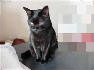 s-DSCF9105.jpg