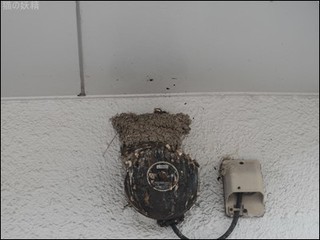 s-DSCF9119.jpg