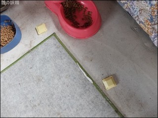 s-DSCF9120.jpg