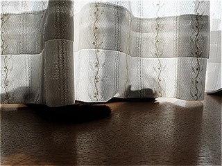 s-DSCF9121.jpg