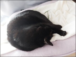 s-DSCF9123.jpg