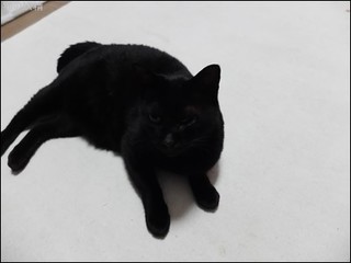 s-DSCF9129.jpg