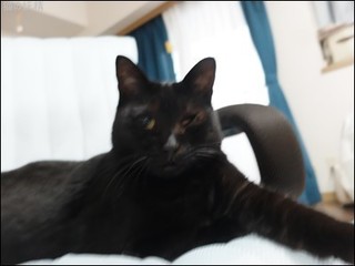 s-DSCF9141.jpg