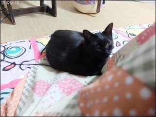 s-DSCF9143.jpg