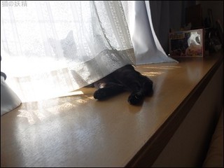 s-DSCF9151.jpg