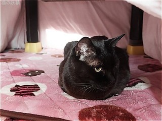s-DSCF9171.jpg