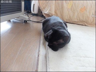 s-DSCF9192.jpg