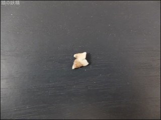 s-DSCF9196.jpg