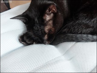 s-DSCF9199.jpg