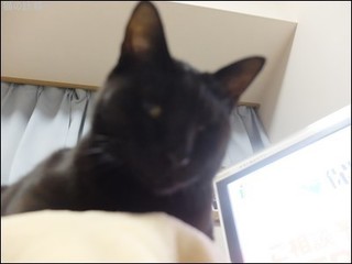 s-DSCF9208.jpg