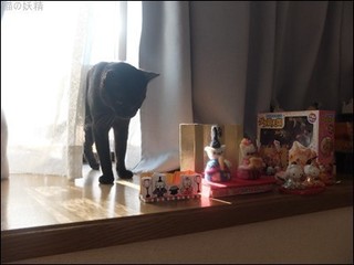 s-DSCF9211.jpg