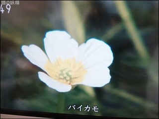s-DSCF9242.jpg